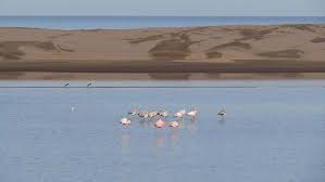 Fin de semana largo con espíritu de fiesta en Tres Arroyos: artesanos, tradiciones y encuentros culturales