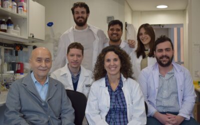 Equipo del BIOMED UCA-CONICET logró visualizar con IA neurorreceptores implicados en enfermedades neurológicas