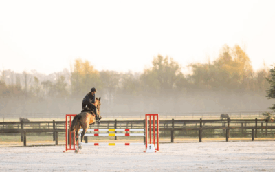Montana Farm: el nuevo club hípico y haras boutique que redefine el salto ecuestre en Argentina