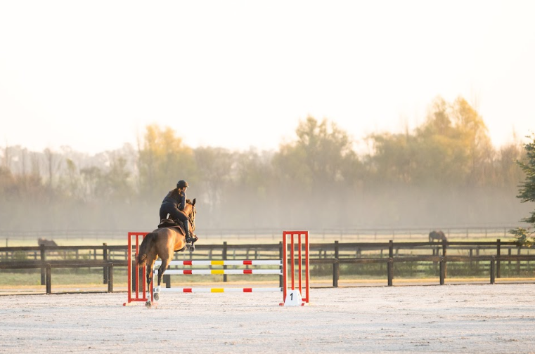 Montana Farm: el nuevo club hípico y haras boutique que redefine el salto ecuestre en Argentina