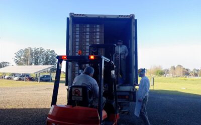 Desde Entre Ríos se exportaron más de 28 mil Kg de nuez pecán a Rusia y Países Bajos