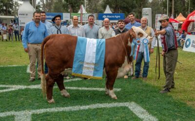 ExpoBRA 2025: el mejoramiento genético dijo presente otra vez