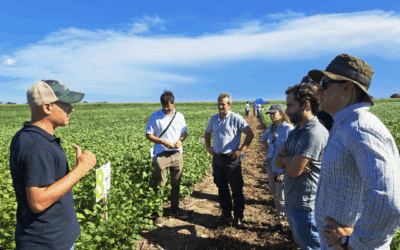 Ambicioso plan de crecimiento   en el mercado de soja