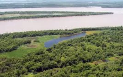 Firman un convenio para conservar el Delta del Paraná