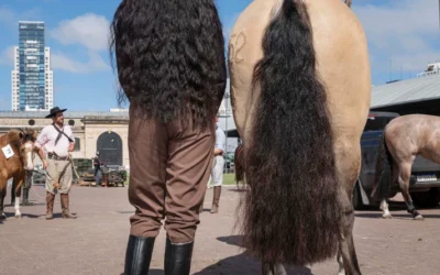 Banco Ciudad premió las mejores fotos de Buenos Aires: Rural 2 de Irina Werning fue la ganadora