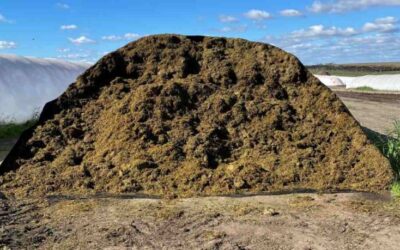 ¿Cómo recuperar 6.6 toneladas de silaje de alfalfa por silobolsa?