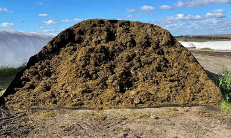 ¿Cómo recuperar 6.6 toneladas de silaje de alfalfa por silobolsa?