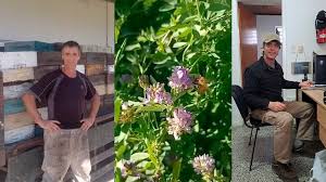 Revolución en el campo: el argentino que apostó todo por las abejas, produce miel sin antibióticos y es furor