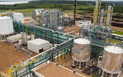 La nueva planta de bioetanol de Bahía Blanca demandaría más de 700 mil toneladas anuales de maíz