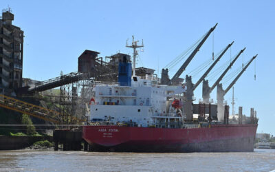 Una mirada al circuito que mueve 60 millones de toneladas de granos por año