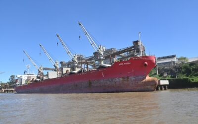 Mercado de granos: récord de operaciones tras la suspensión de derechos de exportación