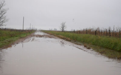 Alerta: Vuelven las lluvias con episodios severos que podrían agravar la situación de las zonas bonaerenses inundadas