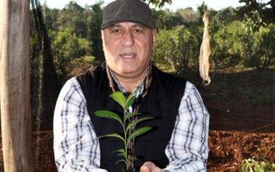 Del corazón de Siria al alma de la yerba mate misionera