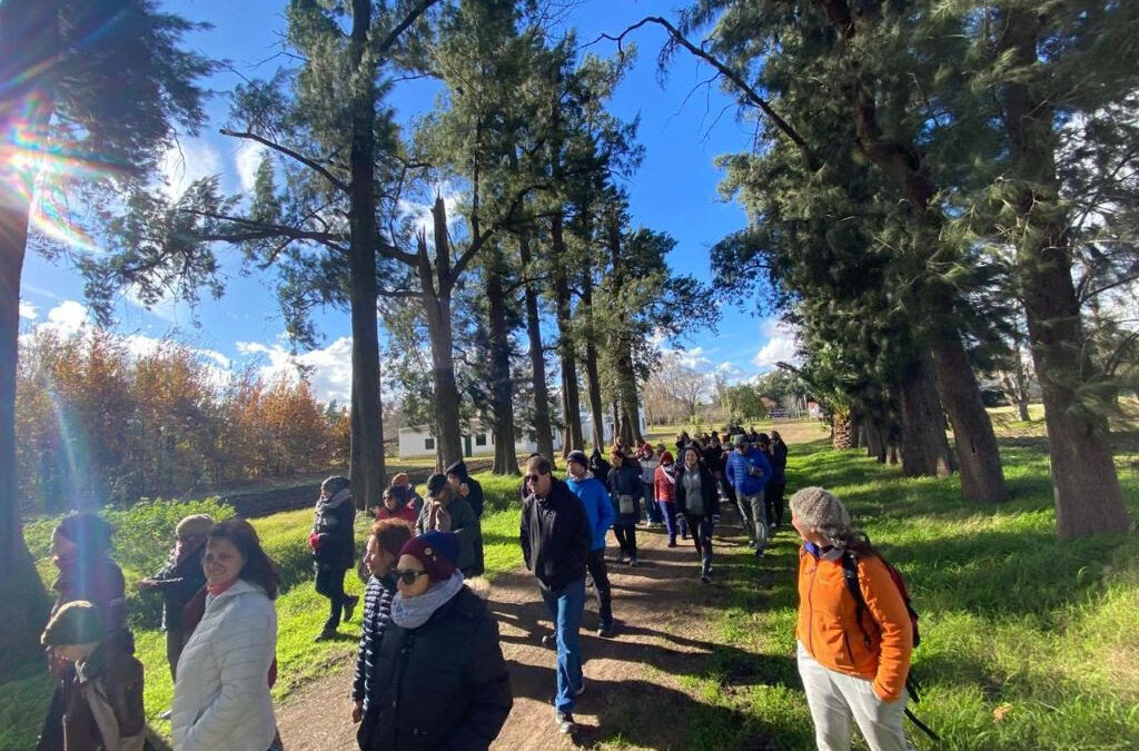 El pueblo del millón de árboles