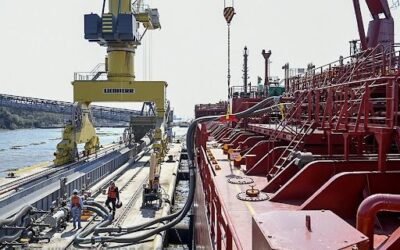 La economía argentina podría dar un salto productivo: el agro podría crecer 90% en diez años