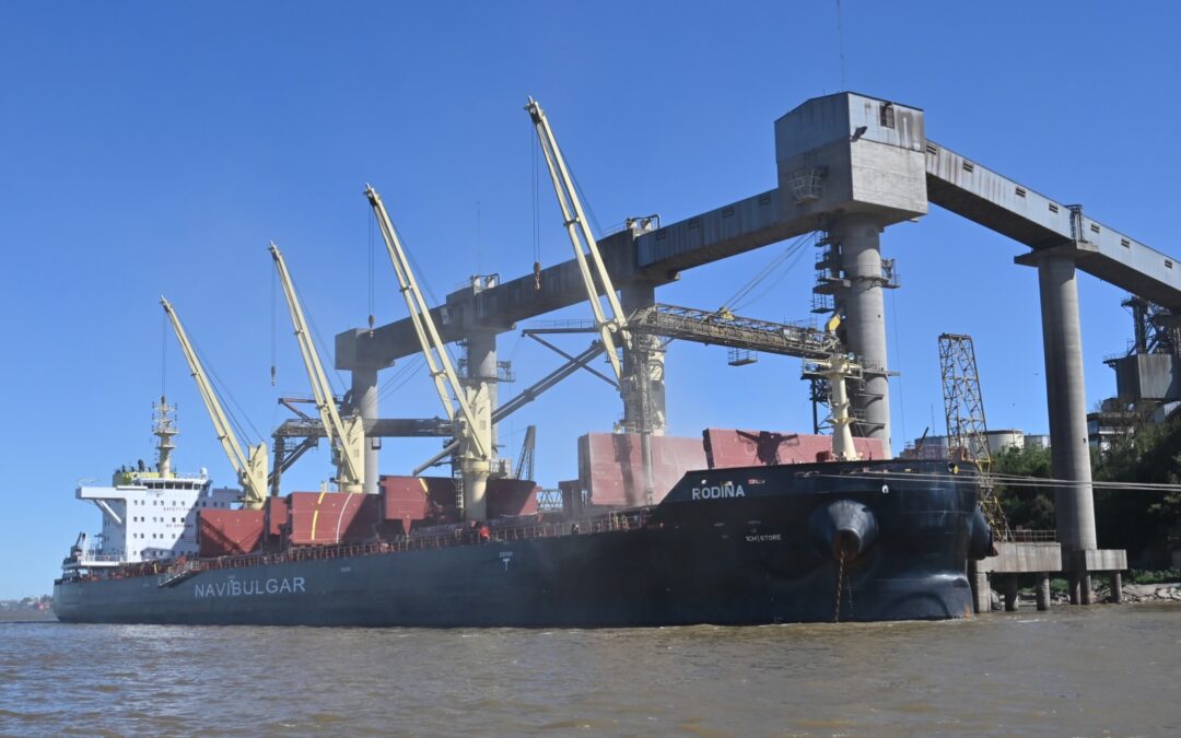 Campaña soja-maíz 25/26: cómo cerrar la brecha de rendimiento con un manejo balanceado de nutrientes