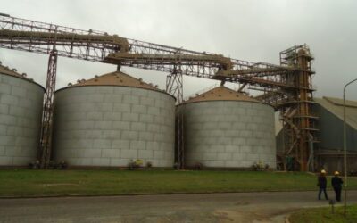 En julio la actividad de la industria aceitera argentina cayó un 9%: Acá te explicamos la causa de ese fenómeno