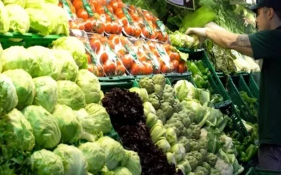 Frutas y verduras: “El argentino se acostumbró a comprar lo más cerca y no a buscar precio”