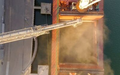 Siguen cayendo los precios de la soja argentina luego de la desactivación del régimen de suspensión de retenciones