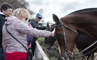 Este fin de semana la diversión está en el Hipódromo de Palermo