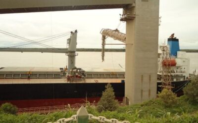 Pablo Adreani: La industria aceitera argentina sigue actuando como un factor clave para sostener los precios de la soja