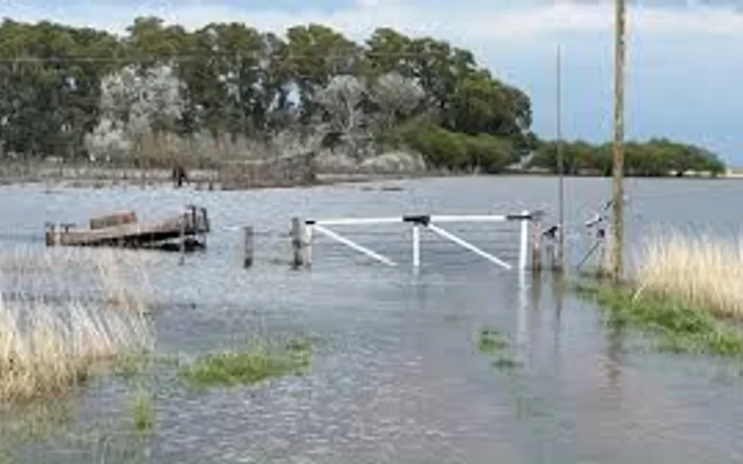 Cuáles son los partidos de la provincia de Buenos Aires declarados en emergencia agropecuaria