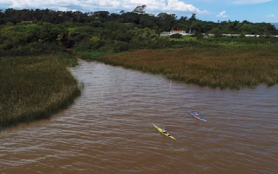 La histórica isla a dos horas de Tigre, ideal para conocer el fin de semana y disfrutar de la naturaleza