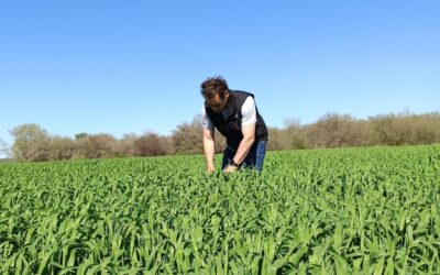 “Todos los analistas están diciendo que el boom ganadero se va a mantener al menos tres o cuatro años más”