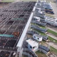 Mercado ganadero: El desafío de transitar un presente de alta volatilidad, sin perder la visión del largo plazo.