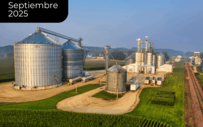 Economías provinciales en un contexto de altas tasas