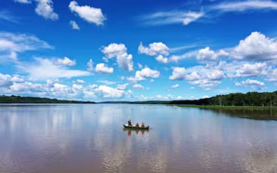 La reserva silvestre donde podés ver una de las aves más difíciles de avistar en Argentina