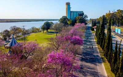 Rosario, en foco: una escapada imperdible de primavera con historia, río, cultura y buena gastronomía