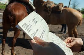 En temporada de mosquitos, reforzar la prevención contra la encefalomielitis equina