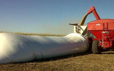 La incertidumbre cambiaria “secó” la venta de soja en el mercado argentino (por partida doble)