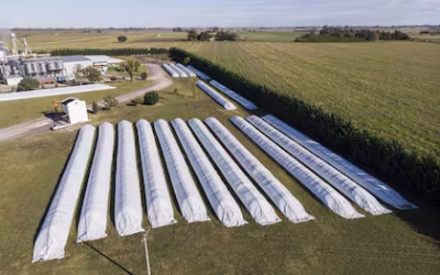 Elevado récord del volumen en el mercado de granos negociado