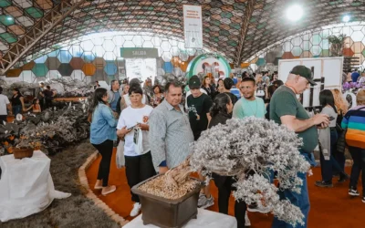 Fiesta Nacional de la Flor: qué es, dónde se hace y cómo conseguir las entradas