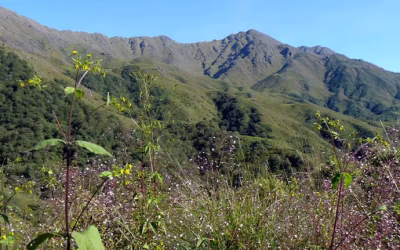 Ni en Jujuy ni Misiones: el paraje mágico al que para llegar hay que salir del país y volver a entrar