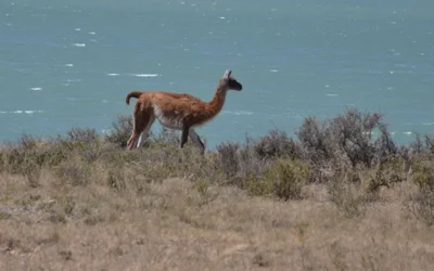 Fines de semana largo: uno a uno, los que faltan de acá a fin de año y qué hacer en ellos