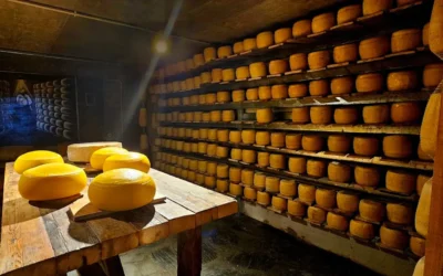 Turismo rutero: los mejores paradores gastronómicos de la Ruta 2, uno por uno