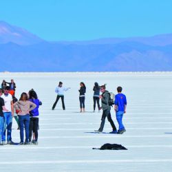 Salares: una blanca pasión viajera que vale la pena explorar