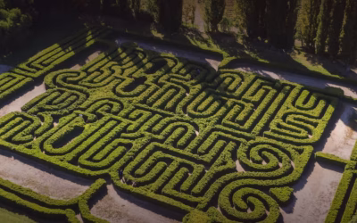 Mendoza: el laberinto a cielo abierto entre literatura, viñedos y montañas