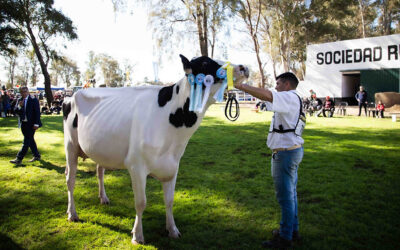 La Campeona Suprema de la Fiesta Nacional del Holando es de Santa Fe