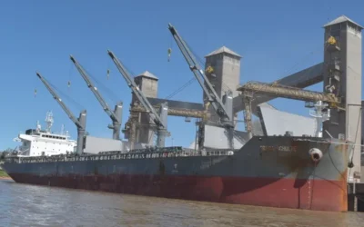 China compró al menos 10 cargamentos de soja argentina tras la baja de retenciones: ¿problemas con la soja brasileña?