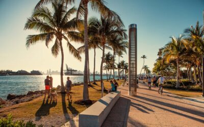 Miami en otoño: un crisol de arte, cultura y experiencias imperdibles