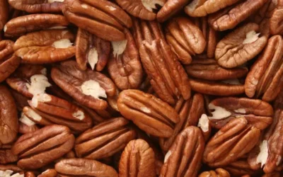 Se verificó la primera exportación de 20 toneladas de nuez pecán de Argentina a China