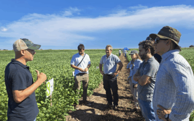 Ambicioso plan de crecimiento en el mercado de soja