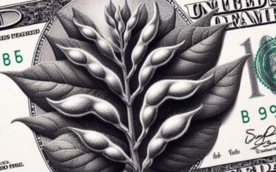 Al final la soja terminó siendo una efectiva cobertura cambiaria para proteger el capital de la inestabilidad macroeconómica