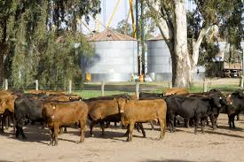 Impulso al desarrollo productivo y a las exportaciones agropecuarias