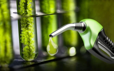 El gobierno fijó los precios mínimos para biocombustibles de octubre