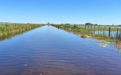 “Es una vergüenza”. En Azul el campo advierte un drama por los caminos y el municipio propone que los productores los arreglen con su plata